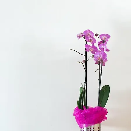 Bed & Breakfast Feel At *