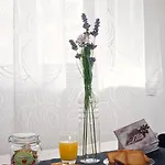 Bed and breakfast Feel At Fiumicino