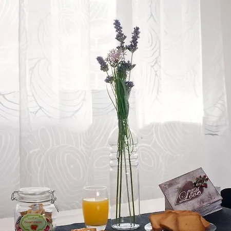 Bed & Breakfast Feel At Fiumicino